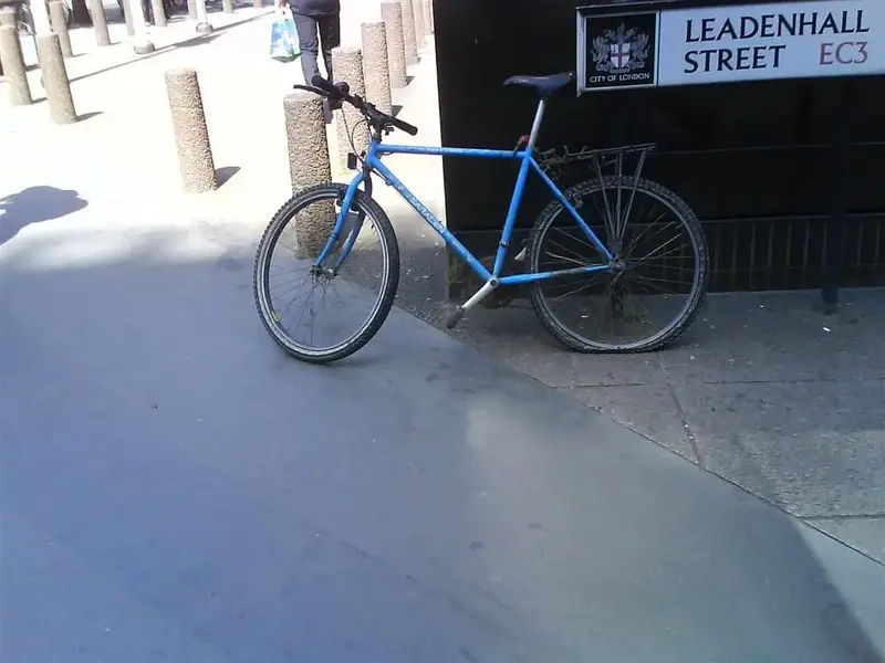 DSC00625 (Medium).webp