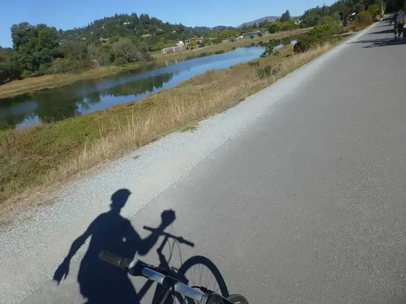 Morning shadow.webp
