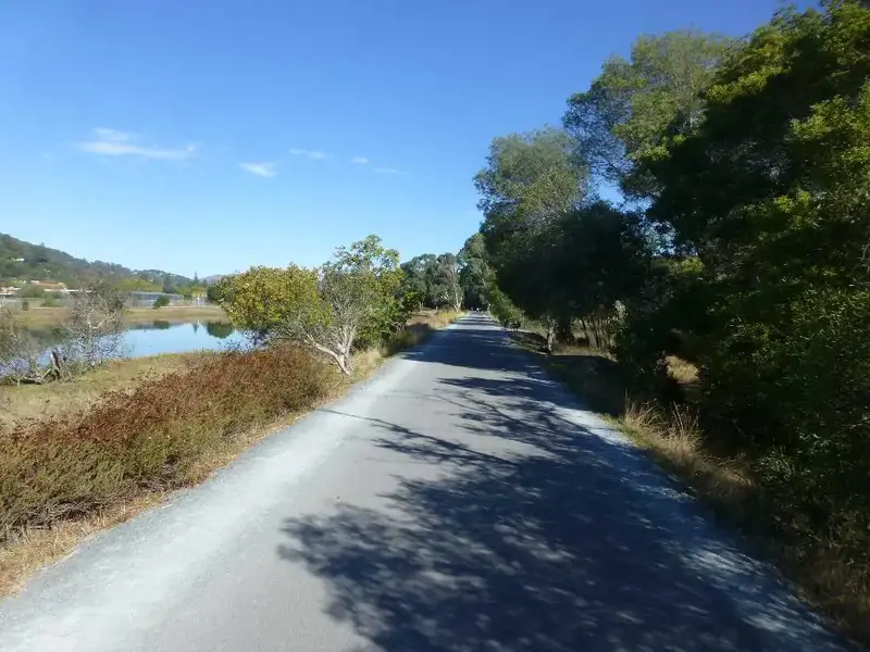 Bike Path.webp