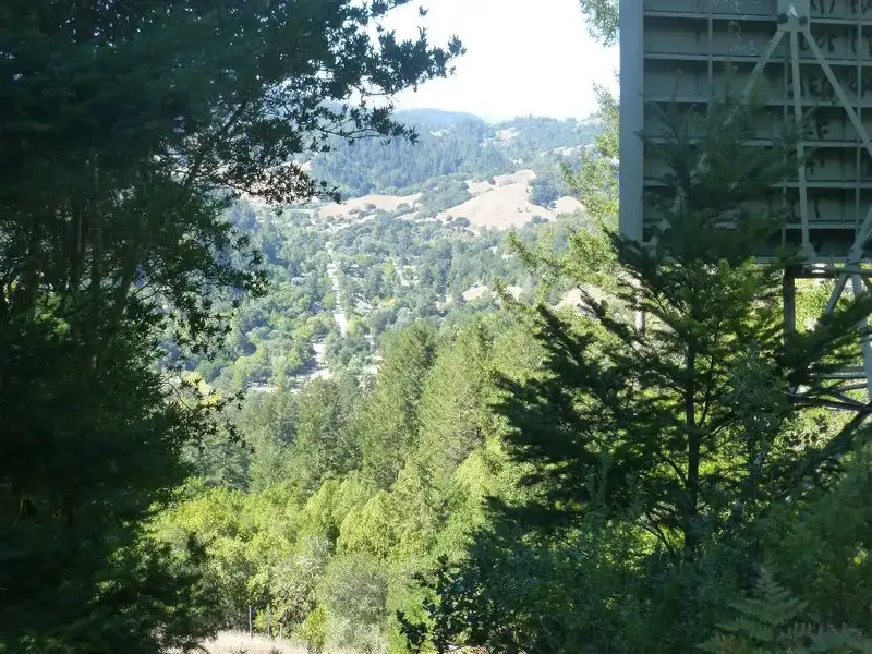 Woodacre from the DriveIn.webp