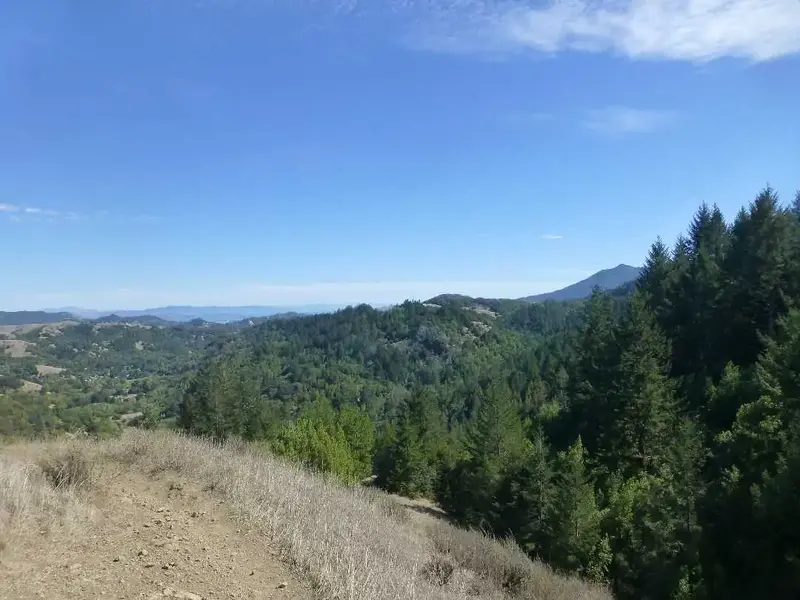 Looking East.webp