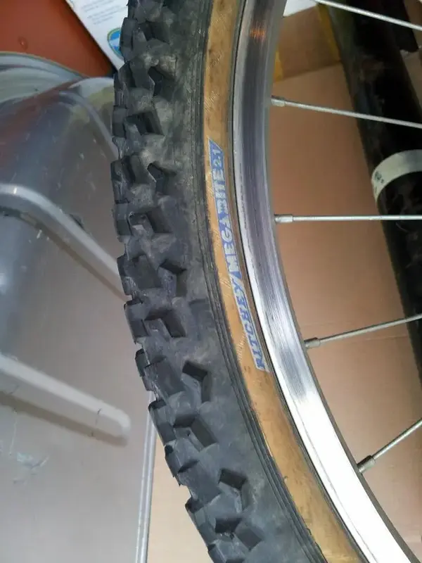 Alpinestars 2.webp