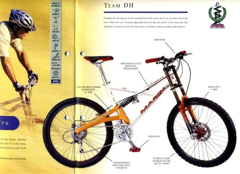 TeamDH001.webp