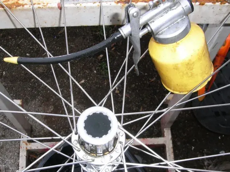freehub1.webp