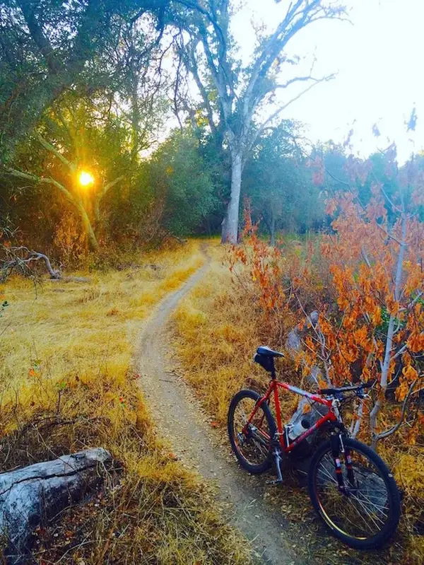 Bonty Sunset.webp