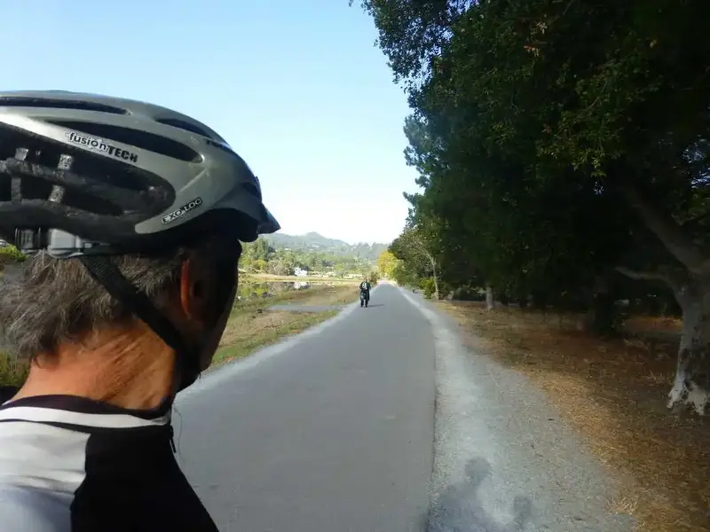 Bike Path.webp