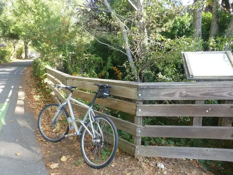 Fairfax Creek.webp