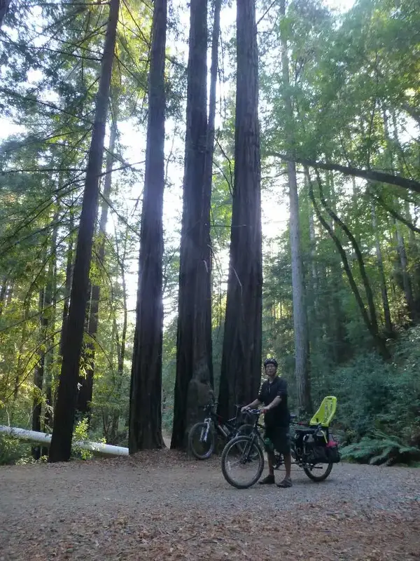 Church of the Redwoods.webp