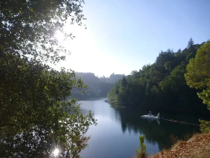 Phoenix Lake.webp