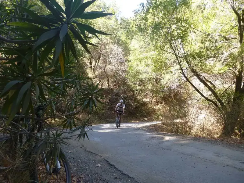 Descending Iron Springs road.webp