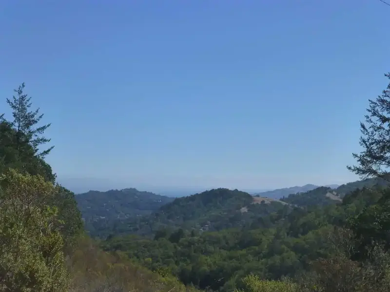 View from 900'.webp