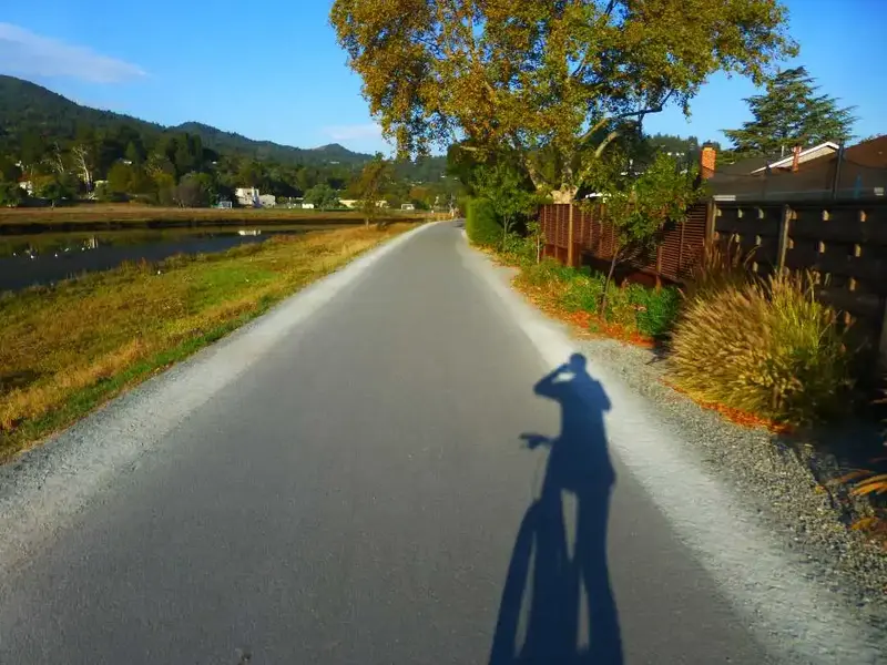 Morning Shadow.webp