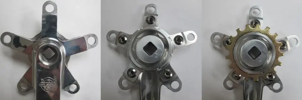 Limbo spider_fitted.webp