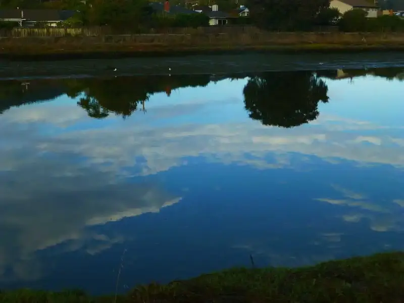 Reflections.webp