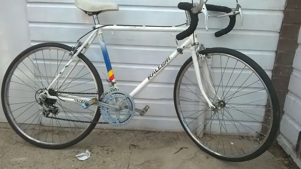 raleigh.webp