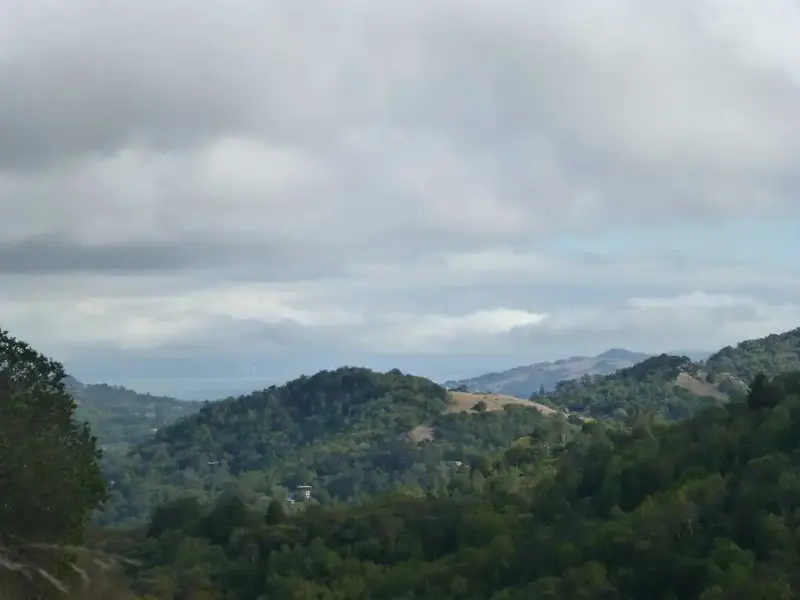 Overcast skies.webp