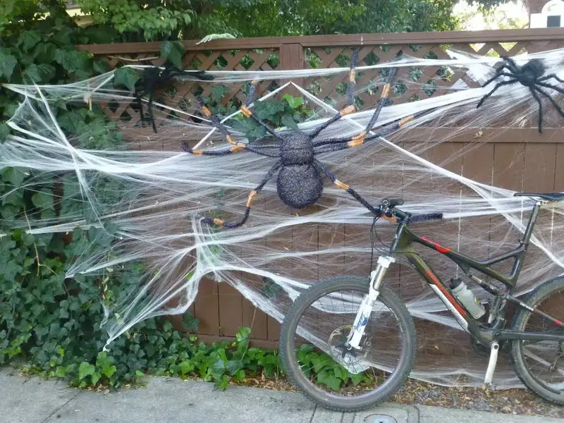 Spiders.webp