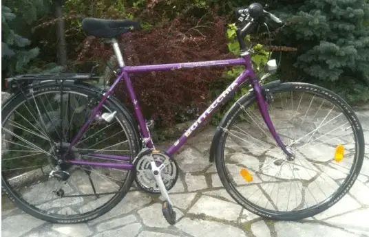 bottecchia.webp