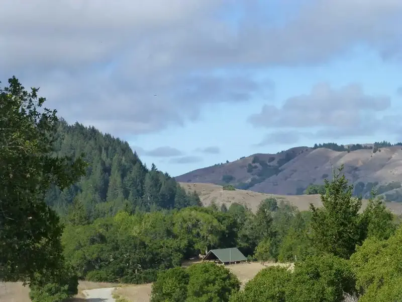Looking West.webp
