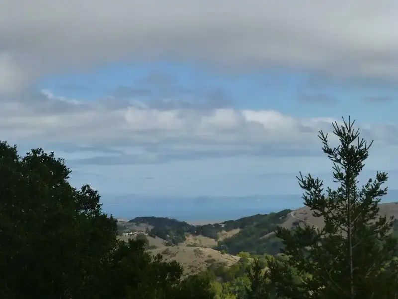 North Bay View.webp