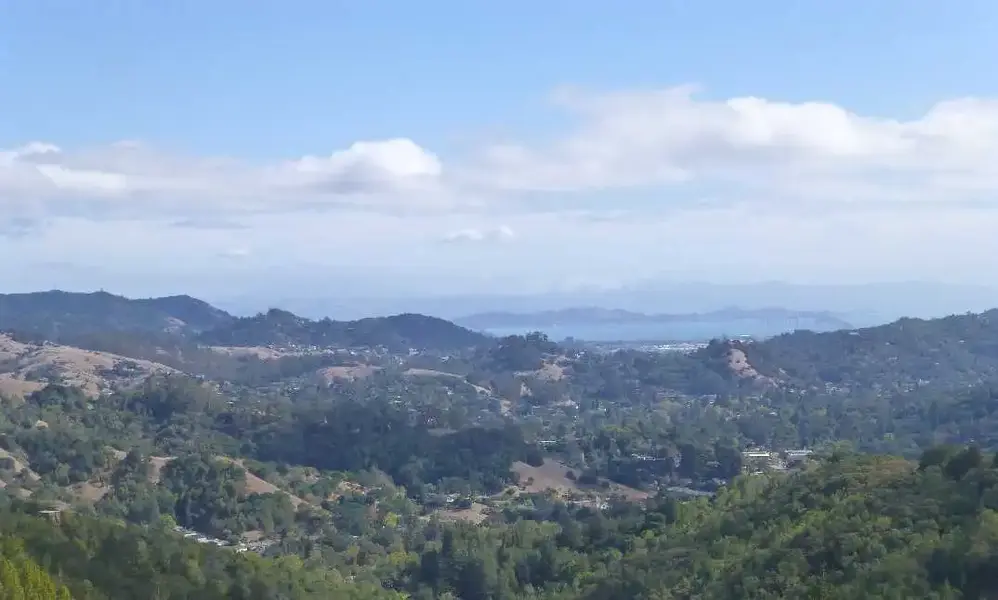 View from the top.webp