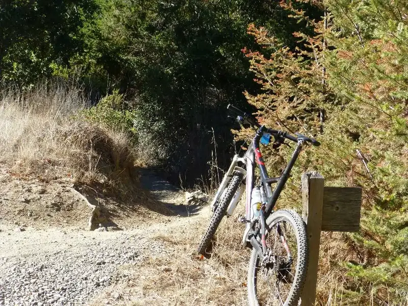 Broken Dam Trail.webp