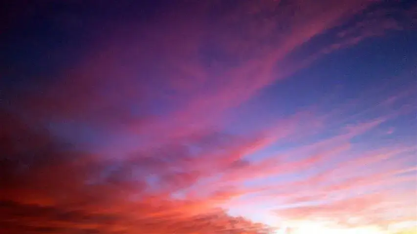 DSC_0090.webp