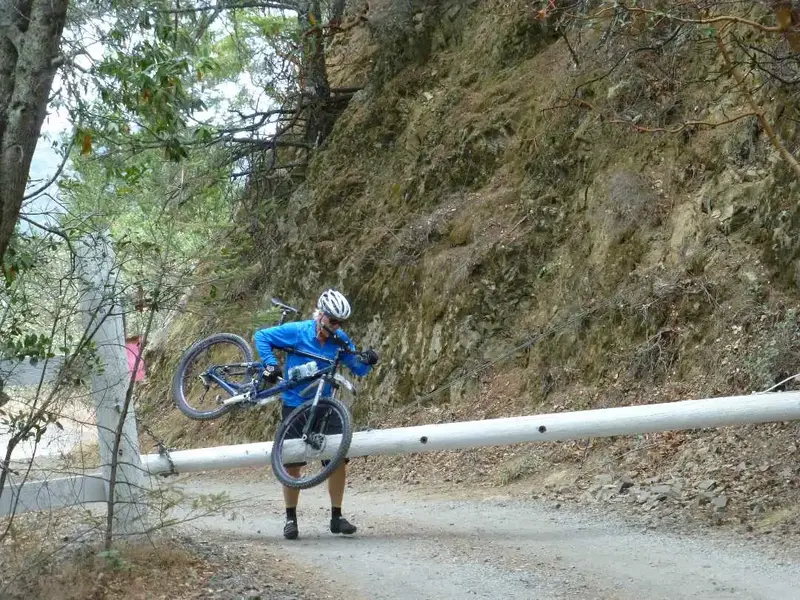 Over the gate.webp