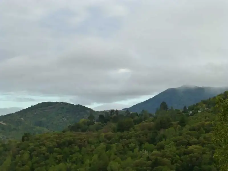 Clouds over Tam.webp