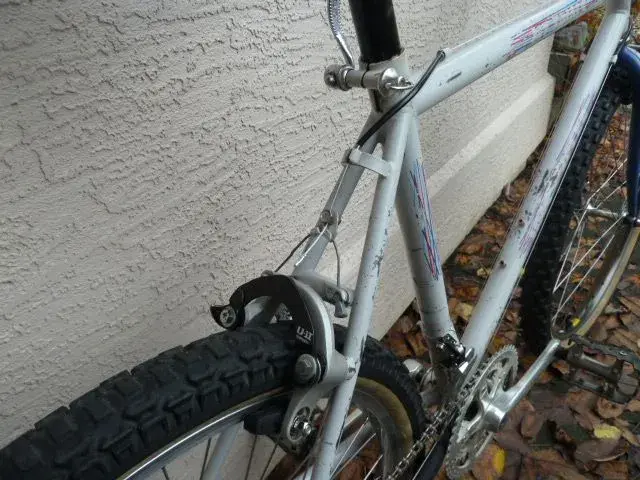 Ibis Mtn. Trials 007.webp