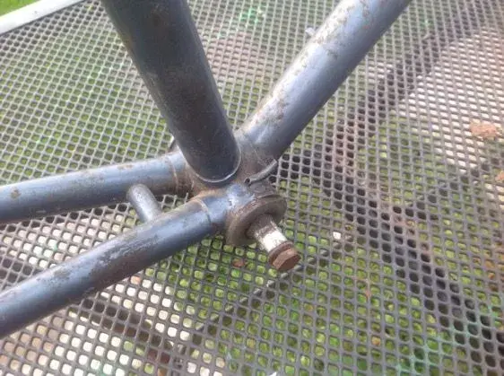 image.webp