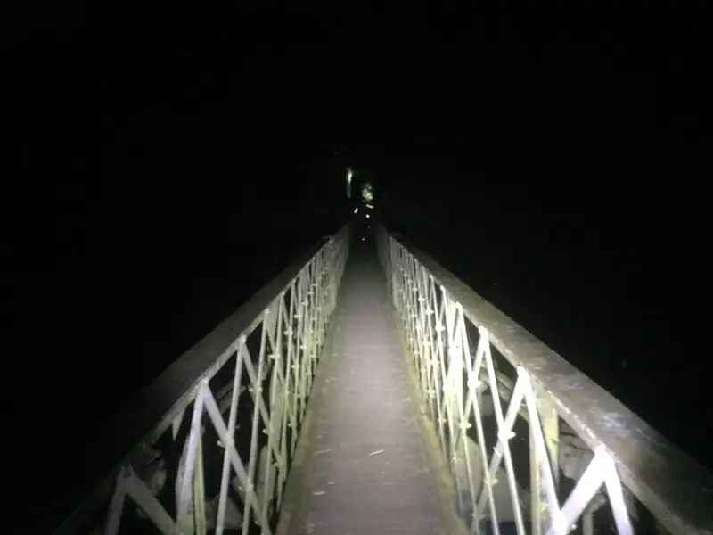 Dark .webp