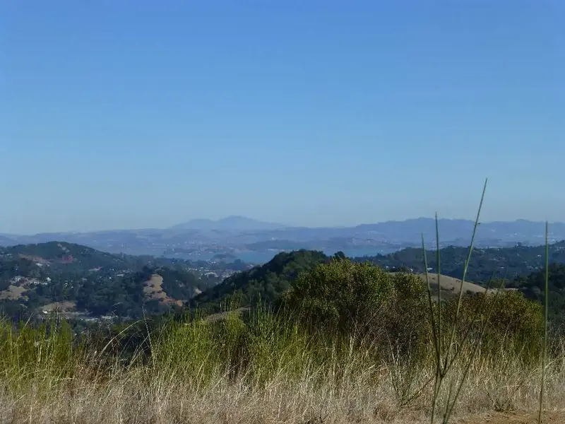 Mt. Diablo and the Bay.webp