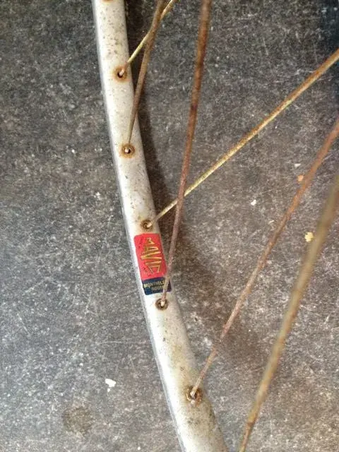 rims - 4.webp