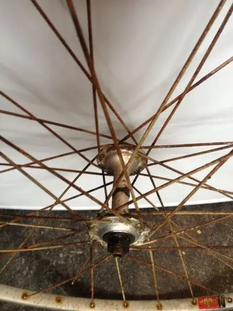 rims - 5.webp