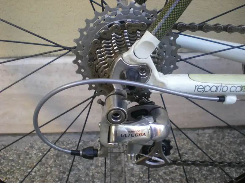 DSCN2770.webp