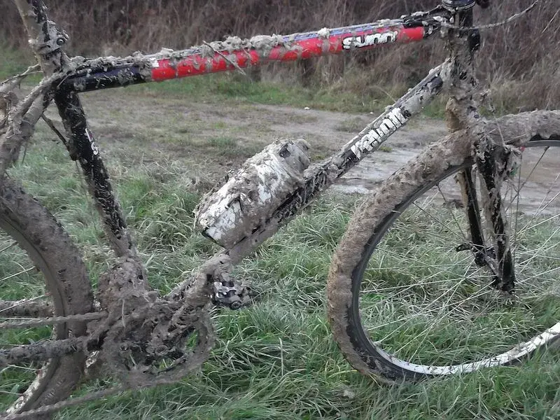 ride 30th dec 5.webp