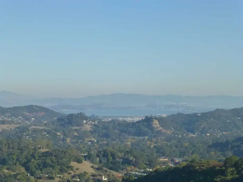 View East from the top.webp