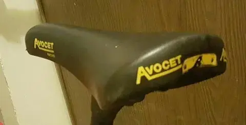 avocetracingrsaddle1.webp