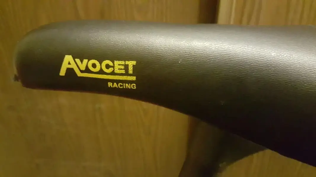 avocetracingrsaddle4.webp