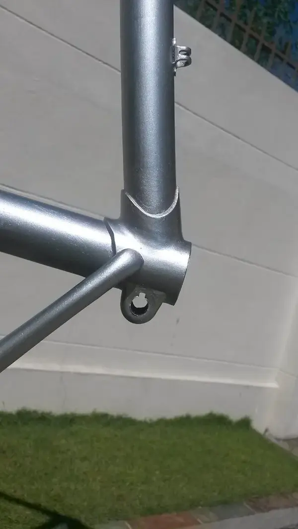 Lug shots (2).webp