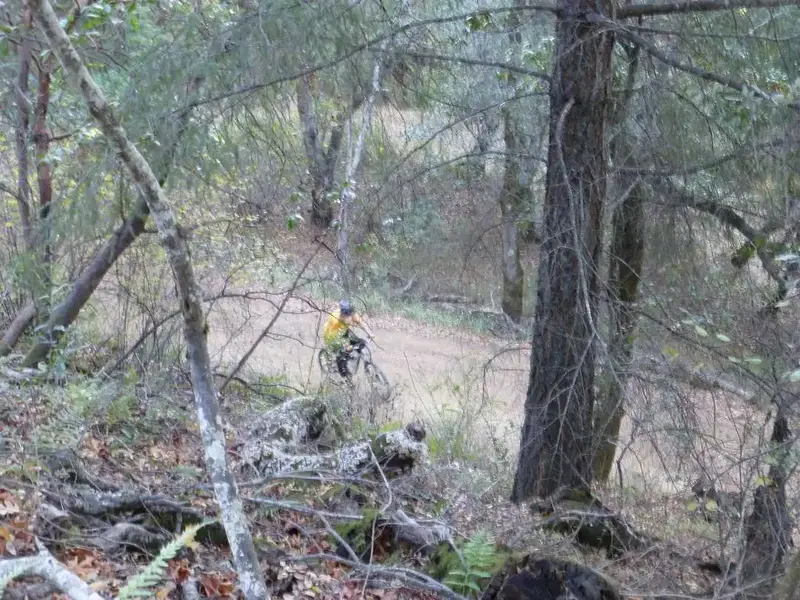 Climbing.webp