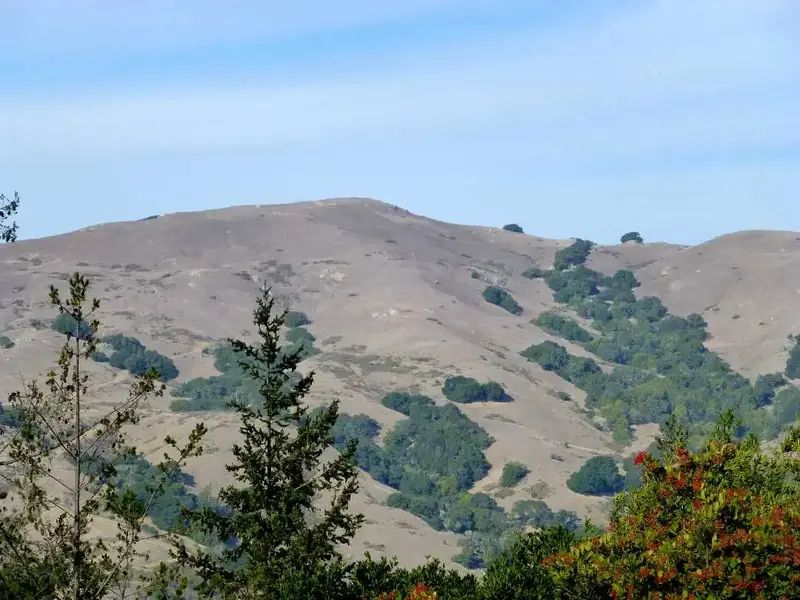 Loma Alta 1592'.webp