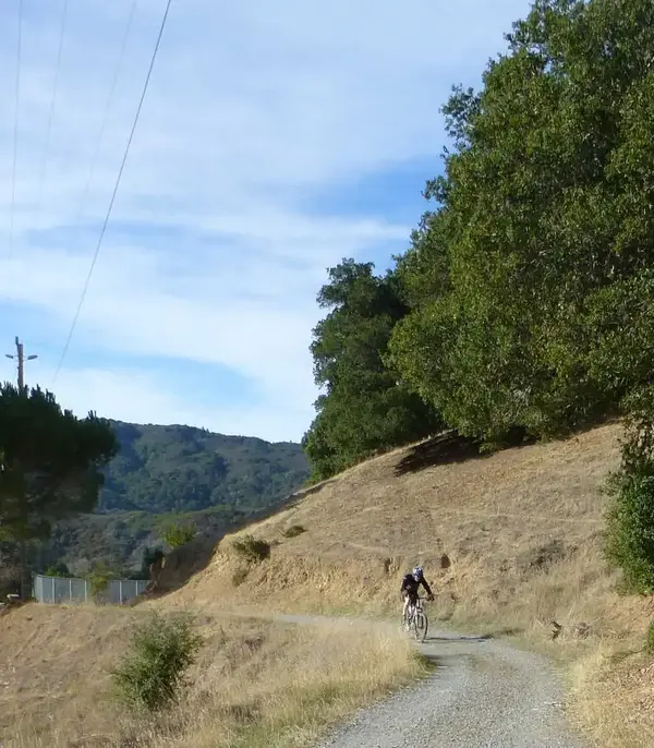 Climbing.webp