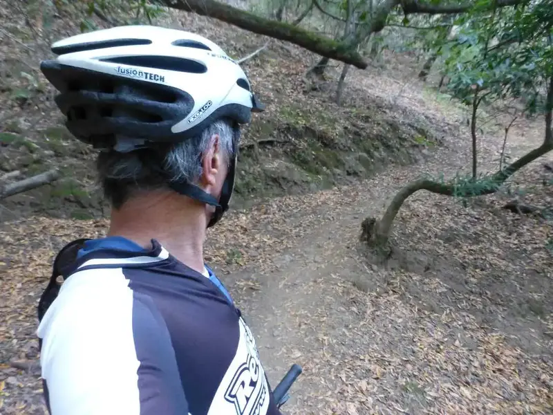 Climbing.webp
