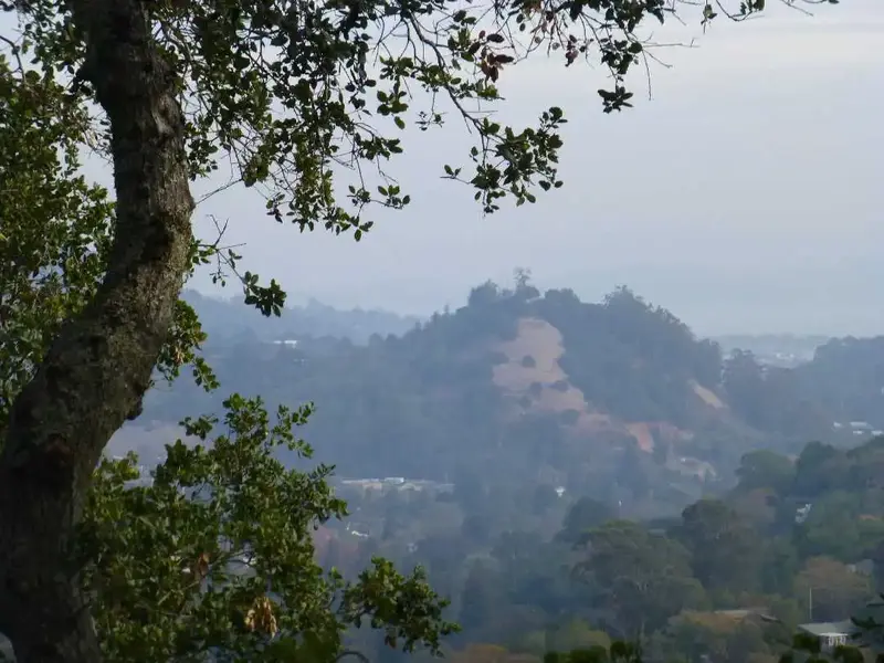 Red Hill.webp