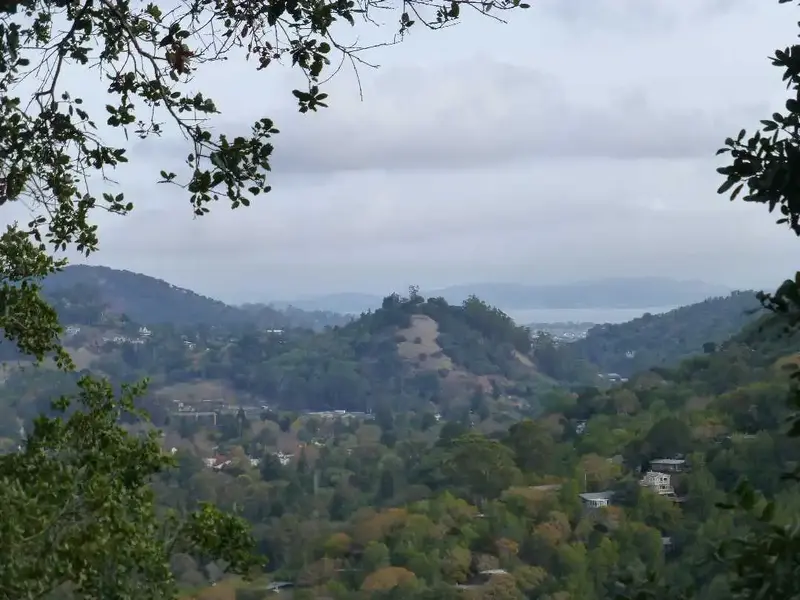 Red Hill.webp