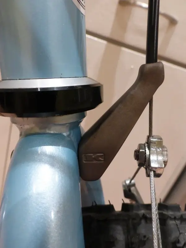 New Stem 5.webp