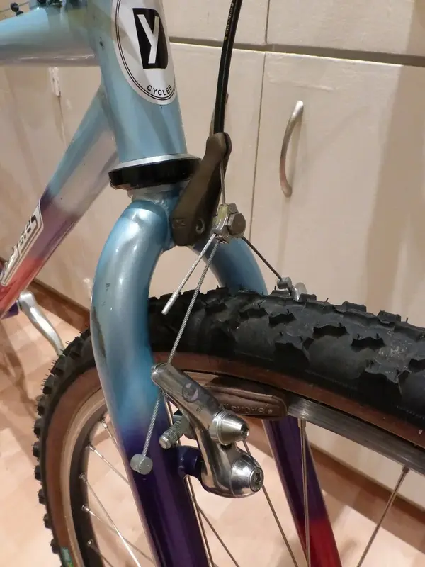 New Stem 4.webp