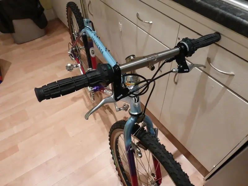 New Stem 3.webp